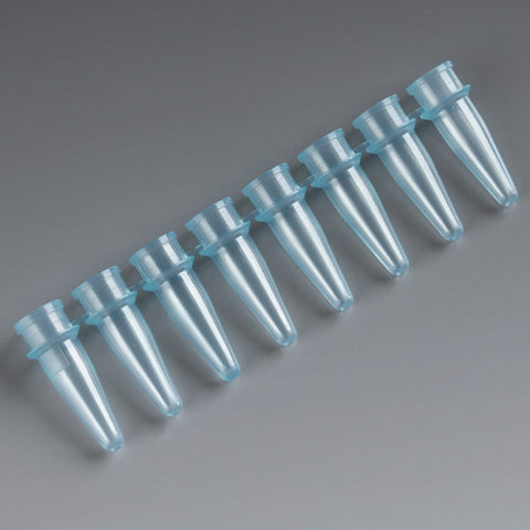 PCR reaction strip, 0.2mL, PP, blue, thin wall, 8 tubes/strip | GLO1-110575B