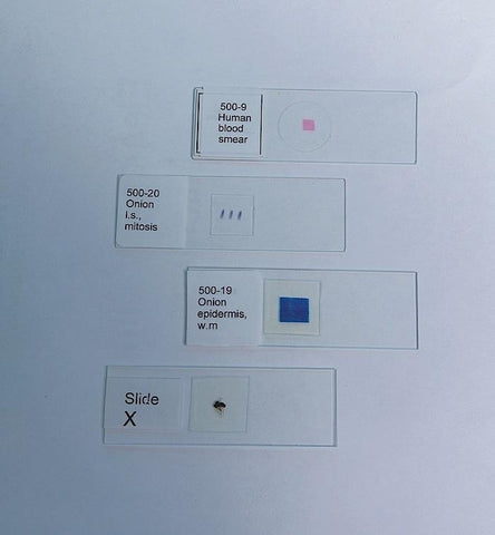 FROG BLOOD SMEAR | UNI1-100-04