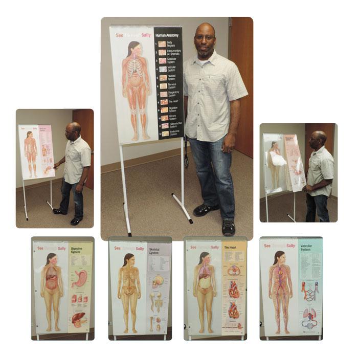 SEE-THROUGH SALLY™ HUMAN ANATOMY DISPLAY | UNI1-SEETHS1